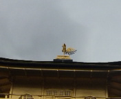 110409_105554.jpg