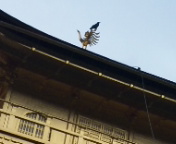110409_105659.jpg