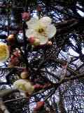 20060216_40381.jpg