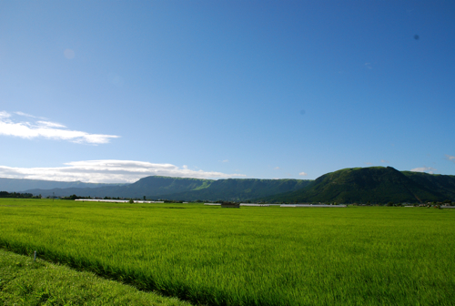 DSC_0249.jpg