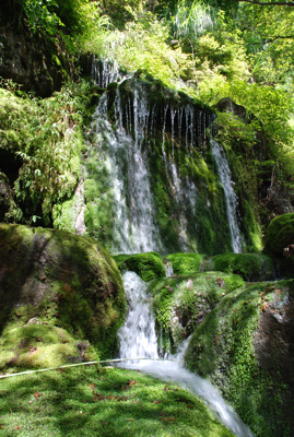 DSC_0488.jpg