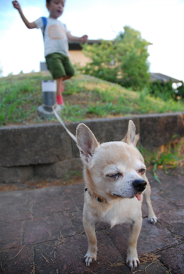 DSC_0072.jpg