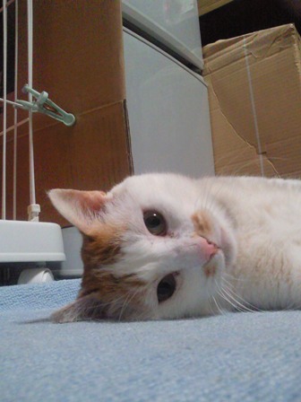 20120421_2098878.jpg