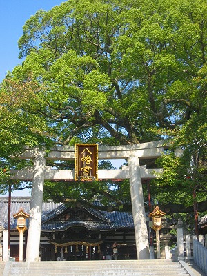 百舌鳥八幡宮