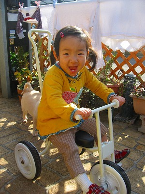 三輪車大好きです。