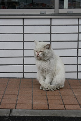 どこの子かな??