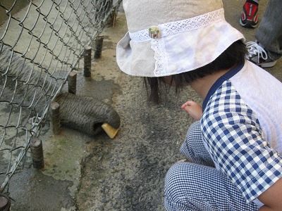 ぞうさん
