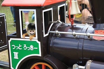 おさるさん汽車