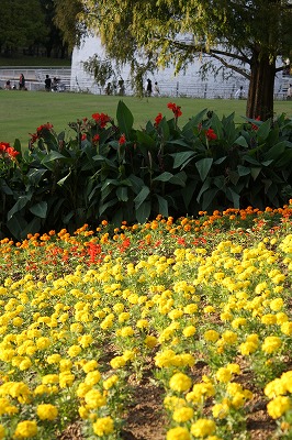 お花