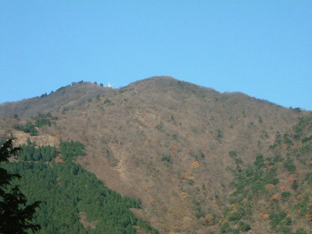 山・森・林・木