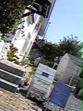 Image1961.jpg