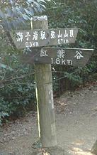 紅葉谷へ