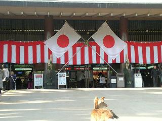 桟橋は正月準備OK
