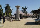 桟橋へ到着!