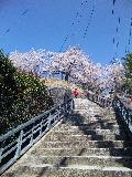 要害山へ