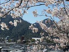 要害山から見た風景