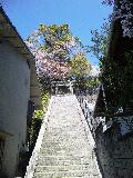 今伊勢神社へ参拝する階段