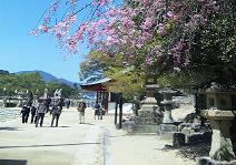 厳島神社前1
