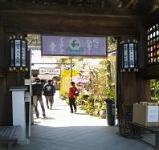 大聖院入口です