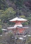 景色:多宝塔