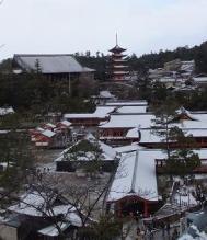 多宝塔からの景色:厳島神社と千畳閣・五重塔