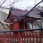 荒胡神社の千木と勝男木
