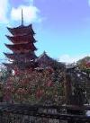 塔の岡から見た景色