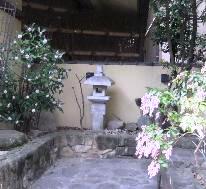 アセビの花