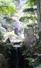 滝