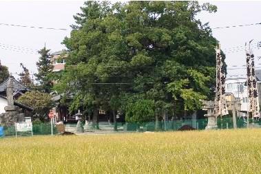 冬木神社