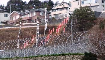 参道2