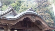 屋根は?