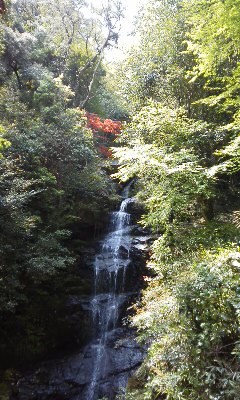 滝