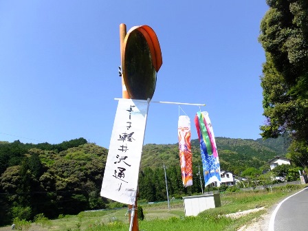 ミラーも応援