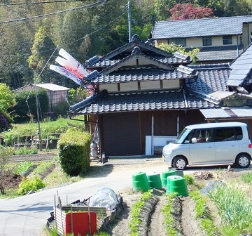 こいのぼり