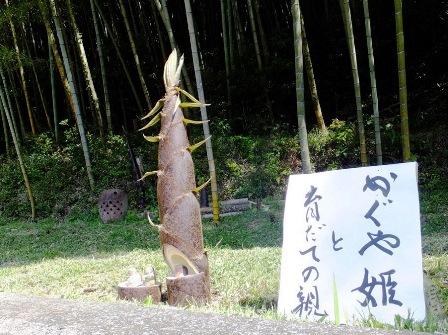 かぐや姫