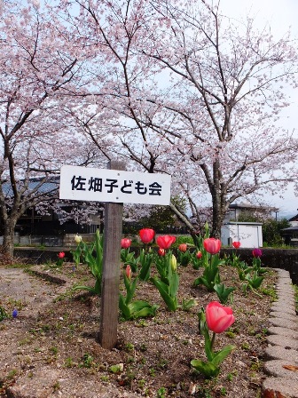春の佐畑