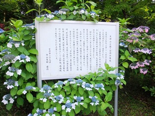 天神山公園縁起