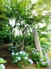 天神山公園へ