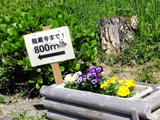 目指せ龍蔵寺