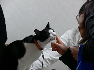 すりすりはっちゃん