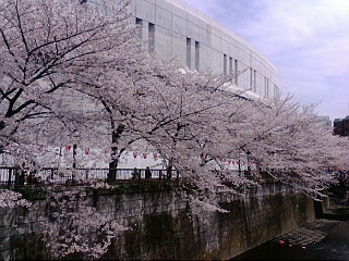 20110410122806.jpg