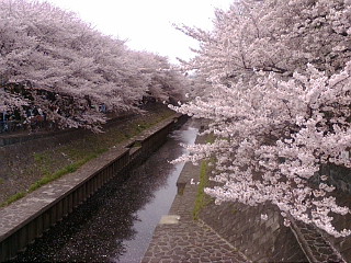 20110410151121.jpg