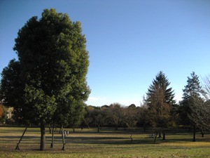 park