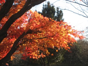 park