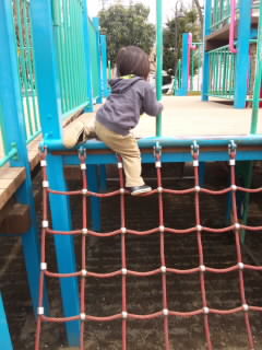 SH3G00600001.jpg