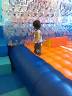SH3G00640001.jpg