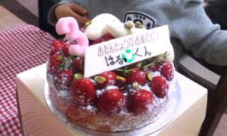 SH3G04320002000300010001.jpg