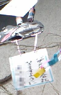 パパ頑張って