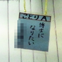博士